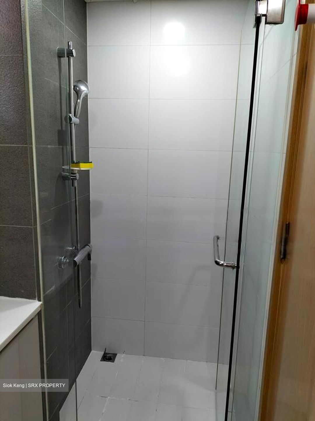 Bartley Residences (D19), Apartment #470867541